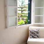 Seven Appartement Funchal (Madeira)
